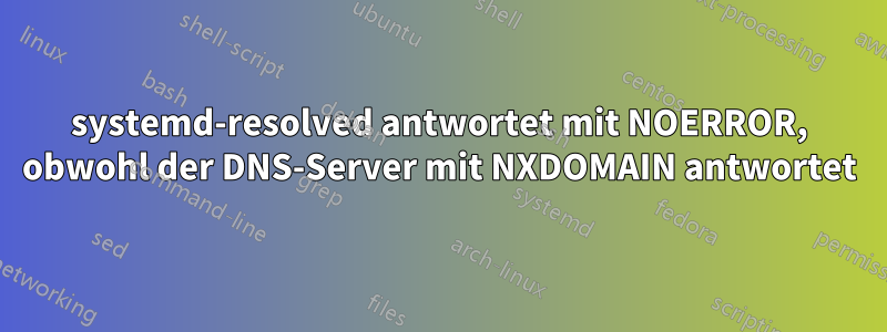 systemd-resolved antwortet mit NOERROR, obwohl der DNS-Server mit NXDOMAIN antwortet