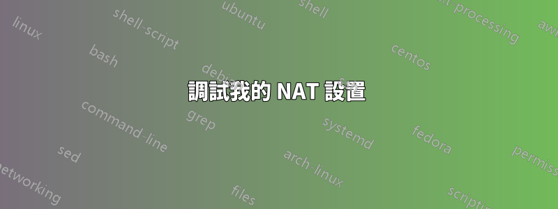 調試我的 NAT 設置