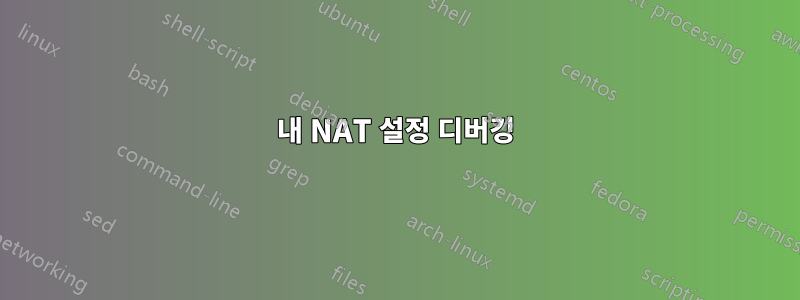 내 NAT 설정 디버깅