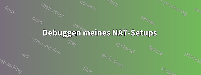 Debuggen meines NAT-Setups