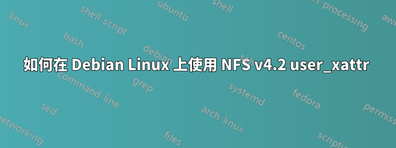 如何在 Debian Linux 上使用 NFS v4.2 user_xattr