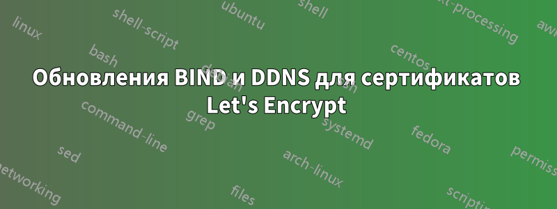 Обновления BIND и DDNS для сертификатов Let's Encrypt