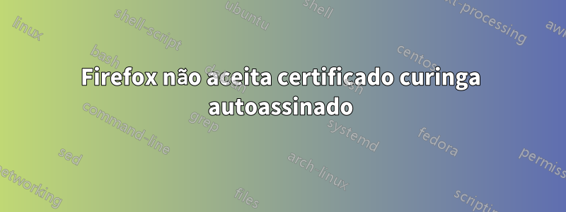 Firefox não aceita certificado curinga autoassinado