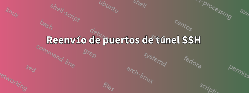 Reenvío de puertos de túnel SSH