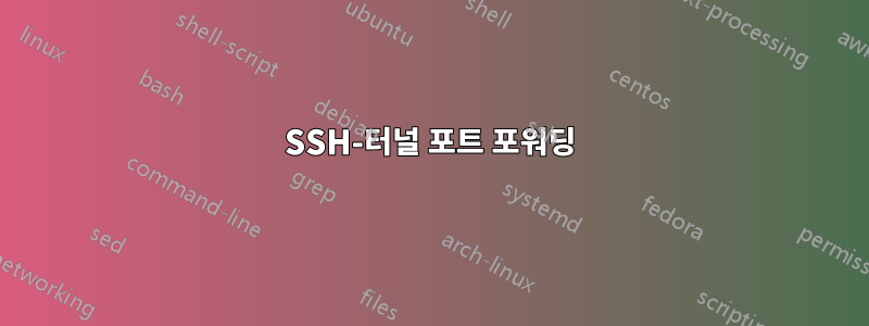 SSH-터널 포트 포워딩