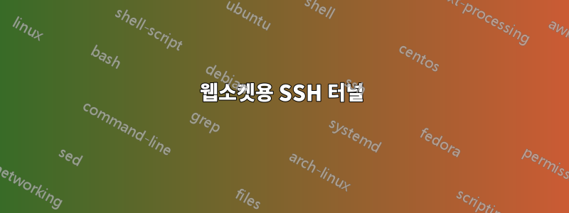 웹소켓용 SSH 터널