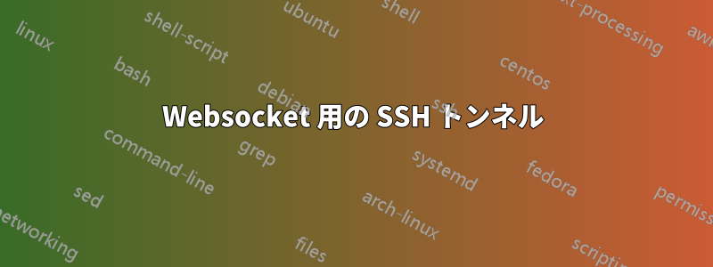 Websocket 用の SSH トンネル