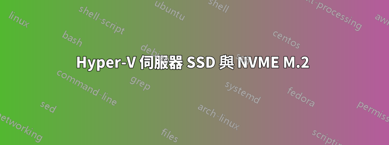 Hyper-V 伺服器 SSD 與 NVME M.2