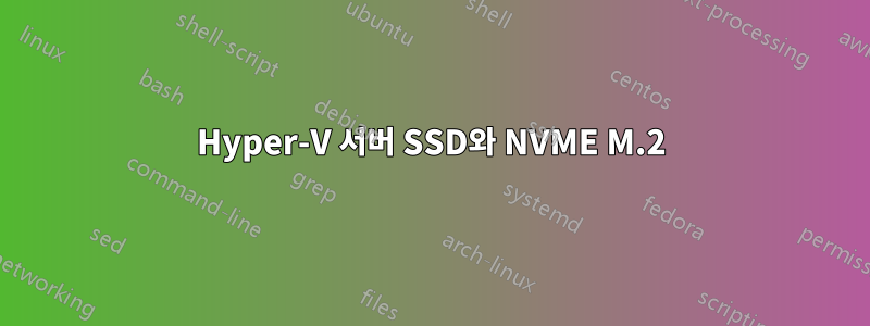 Hyper-V 서버 SSD와 NVME M.2