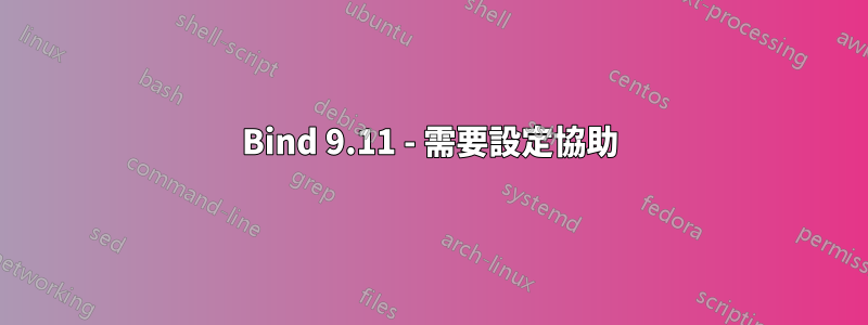 Bind 9.11 - 需要設定協助