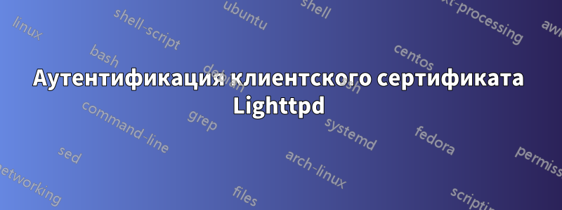 Аутентификация клиентского сертификата Lighttpd