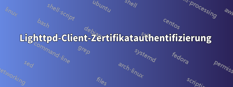 Lighttpd-Client-Zertifikatauthentifizierung