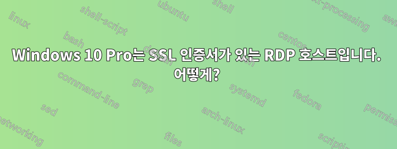 Windows 10 Pro는 SSL 인증서가 있는 RDP 호스트입니다. 어떻게?