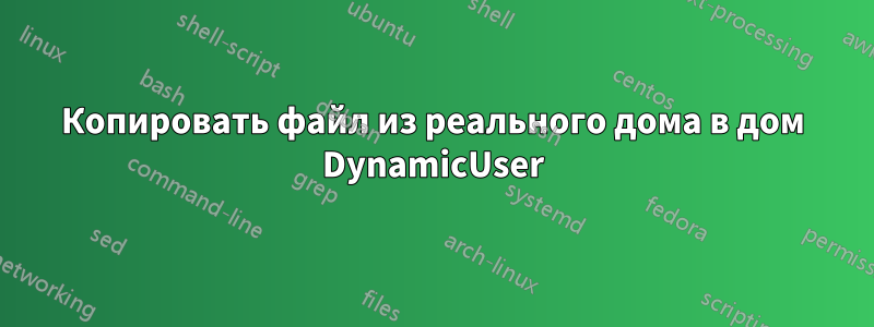 Копировать файл из реального дома в дом DynamicUser