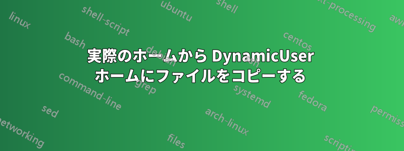 実際のホームから DynamicUser ホームにファイルをコピーする