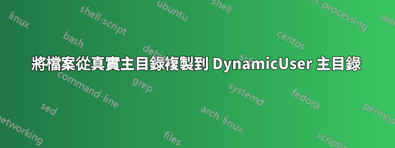 將檔案從真實主目錄複製到 DynamicUser 主目錄