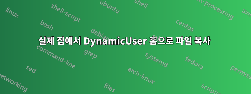 실제 집에서 DynamicUser 홈으로 파일 복사