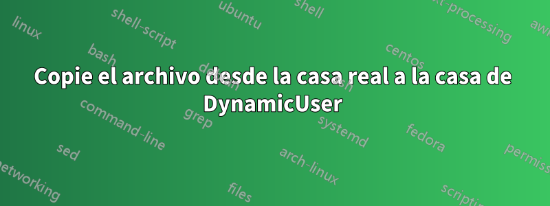 Copie el archivo desde la casa real a la casa de DynamicUser