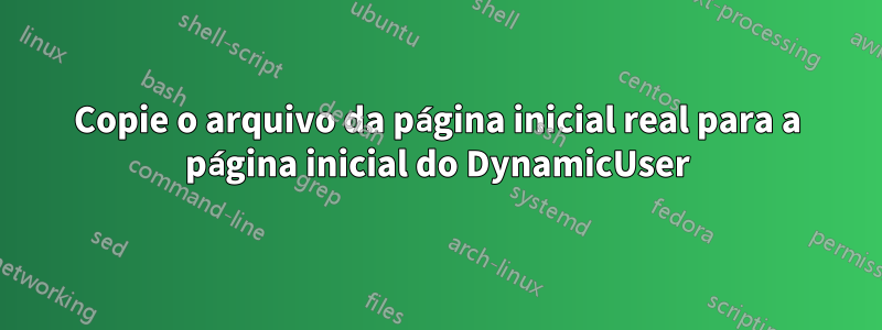 Copie o arquivo da página inicial real para a página inicial do DynamicUser