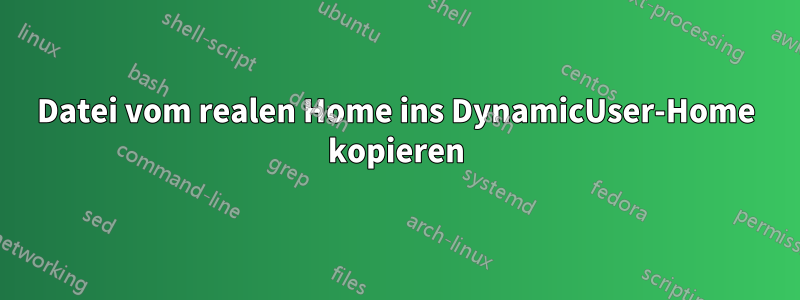 Datei vom realen Home ins DynamicUser-Home kopieren