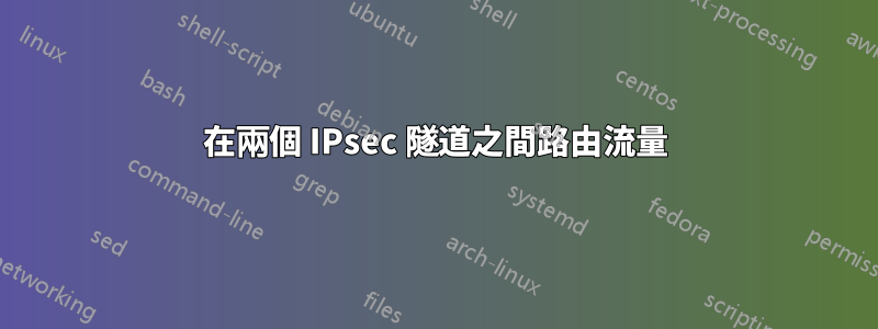 在兩個 IPsec 隧道之間路由流量