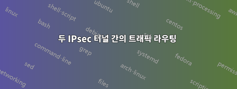 두 IPsec 터널 간의 트래픽 라우팅