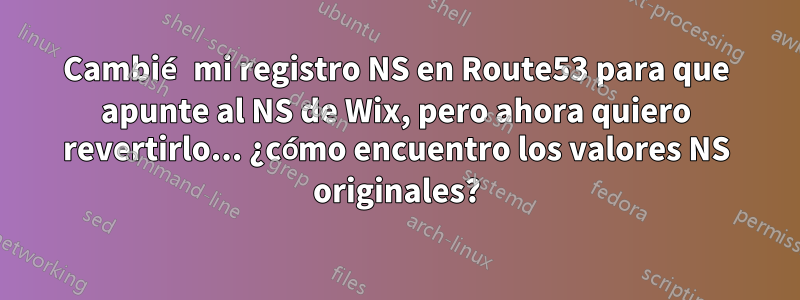 Cambié mi registro NS en Route53 para que apunte al NS de Wix, pero ahora quiero revertirlo... ¿cómo encuentro los valores NS originales?