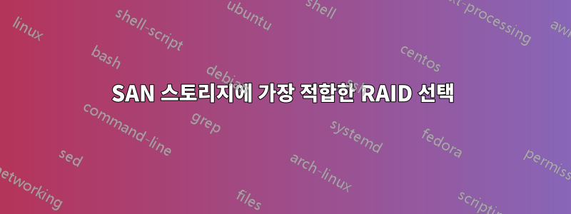 SAN 스토리지에 가장 적합한 RAID 선택