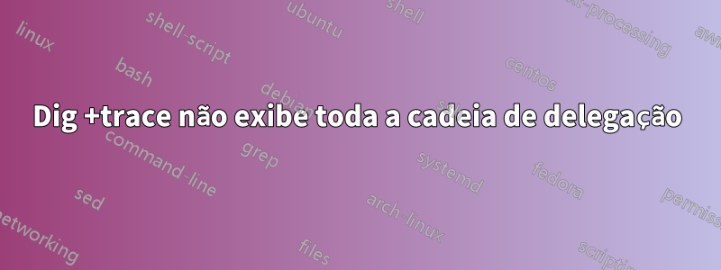 Dig +trace não exibe toda a cadeia de delegação