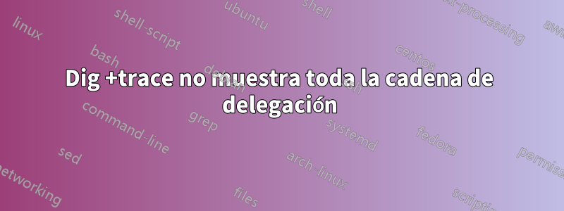 Dig +trace no muestra toda la cadena de delegación