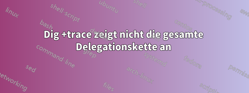 Dig +trace zeigt nicht die gesamte Delegationskette an