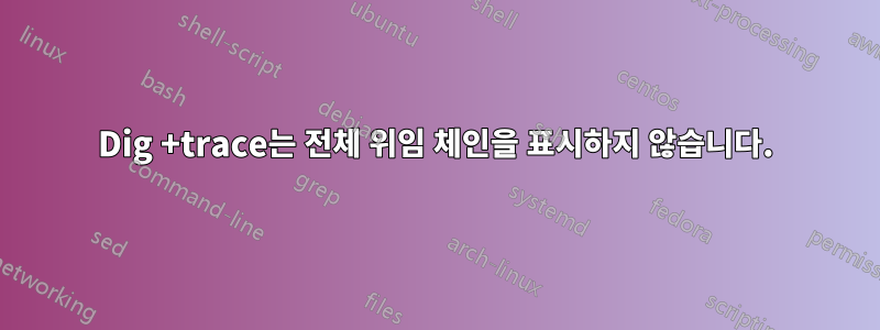 Dig +trace는 전체 위임 체인을 표시하지 않습니다.