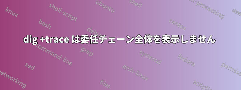 dig +trace は委任チェーン全体を表示しません