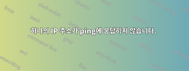 하나의 IP 주소가 ping에 응답하지 않습니다.