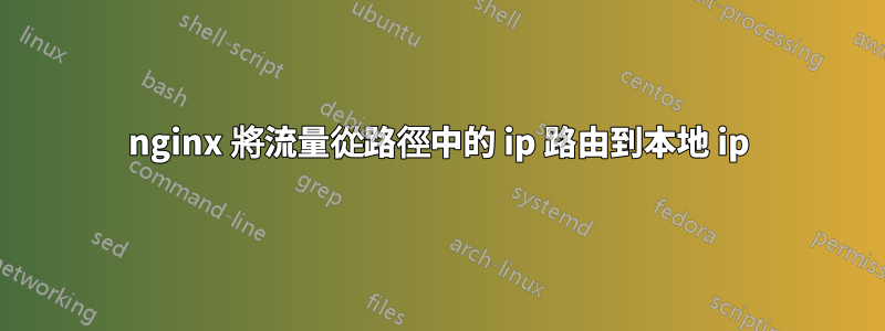 nginx 將流量從路徑中的 ip 路由到本地 ip