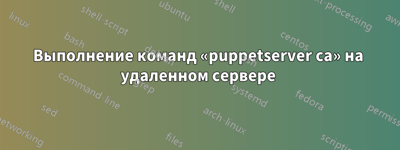 Выполнение команд «puppetserver ca» на удаленном сервере