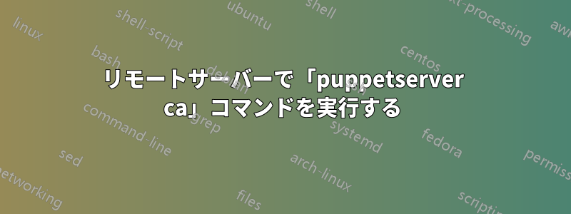 リモートサーバーで「puppetserver ca」コマンドを実行する