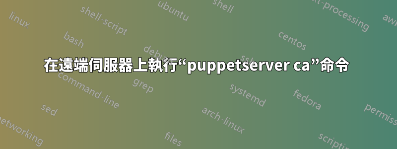 在遠端伺服器上執行“puppetserver ca”命令