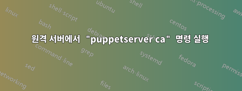 원격 서버에서 "puppetserver ca" 명령 실행