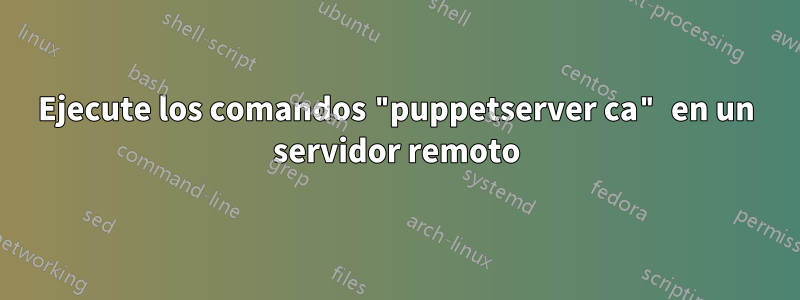 Ejecute los comandos "puppetserver ca" en un servidor remoto