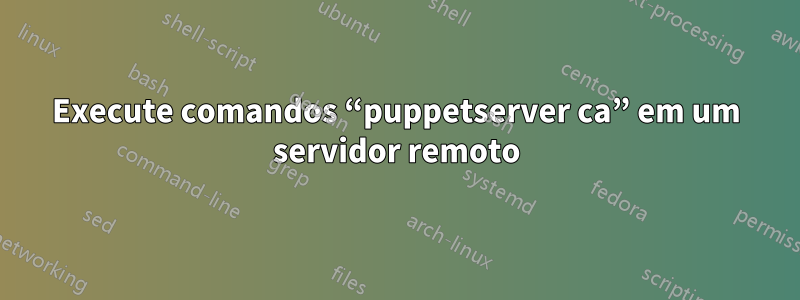 Execute comandos “puppetserver ca” em um servidor remoto