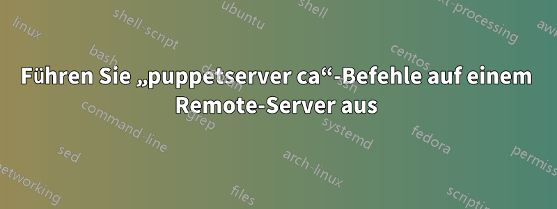 Führen Sie „puppetserver ca“-Befehle auf einem Remote-Server aus