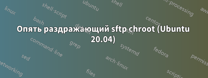 Опять раздражающий sftp chroot (Ubuntu 20.04)