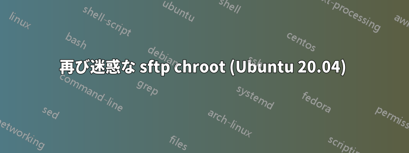 再び迷惑な sftp chroot (Ubuntu 20.04)