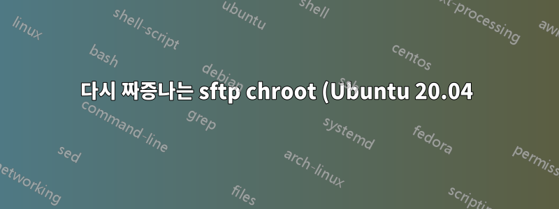 다시 짜증나는 sftp chroot (Ubuntu 20.04)