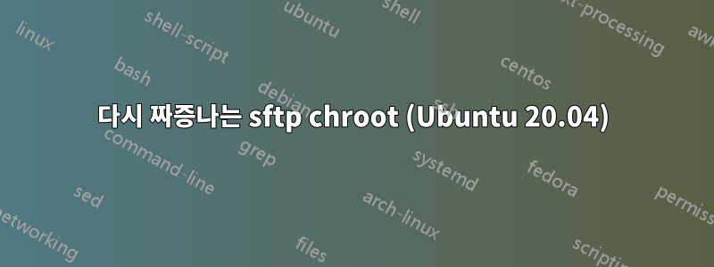 다시 짜증나는 sftp chroot (Ubuntu 20.04)