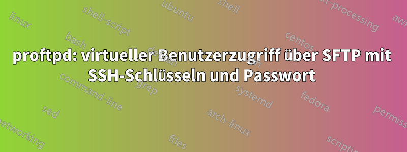 proftpd: virtueller Benutzerzugriff über SFTP mit SSH-Schlüsseln und Passwort