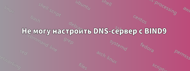 Не могу настроить DNS-сервер с BIND9