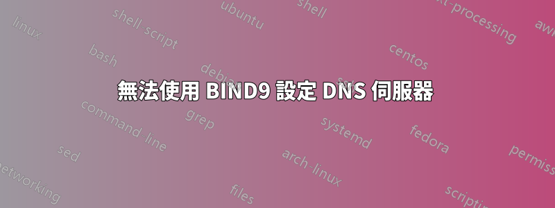 無法使用 BIND9 設定 DNS 伺服器