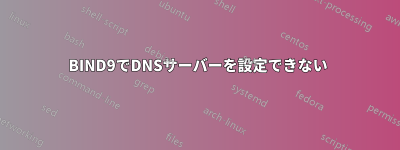 BIND9でDNSサーバーを設定できない